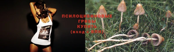 COCAINE Баксан