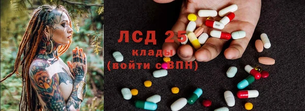 ПСИЛОЦИБИНОВЫЕ ГРИБЫ Балабаново