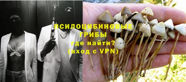 ПСИЛОЦИБИНОВЫЕ ГРИБЫ Балабаново