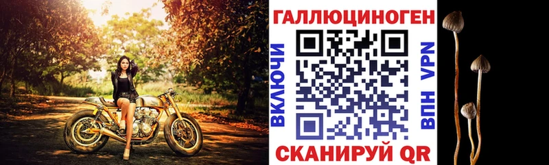 Галлюциногенные грибы Magic Shrooms  где купить наркоту  Плёс 